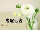 穿越到sp的世界