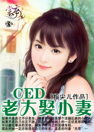 CEO老大娶小妻