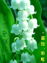 为你付出为你伤
