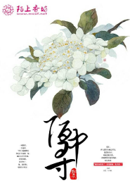 天降萌妃宫爷揽入怀