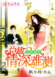 神奇宝贝之精灵世纪女儿控