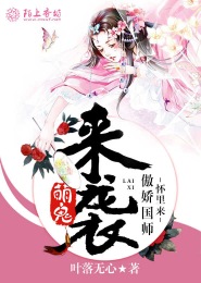 06应采儿火爆大片《魔鬼天使》DVD粤语中字