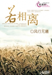 孙晨小说