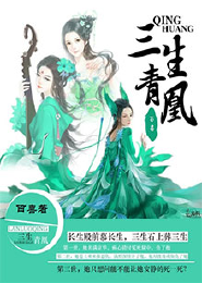 辰夜未安