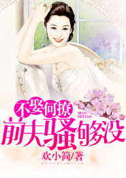 飞鸽免费阅读小说