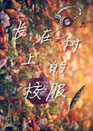 小时代刺金