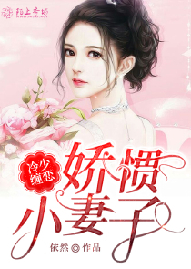 闪婚老公是中校