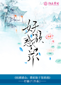 天翼中文小说网
