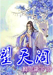 红楼一梦之凤鸣朝阳