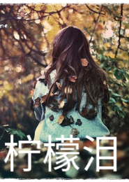 红楼梦白话文