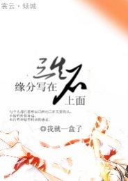 清穿四爷宠爱侧福晋免费阅读