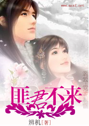 三得利冰度啤酒怎么样