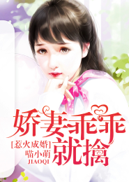 离婚小说