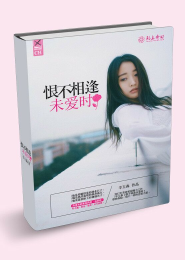 伤感的les小说txt下载