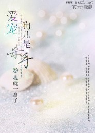 权路风云小说张清扬