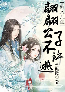 同事姐姐爱上我