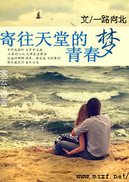 超级护花高手秦风