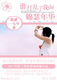 淑女本色鲜橙小说