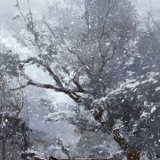 翊洁古代小说