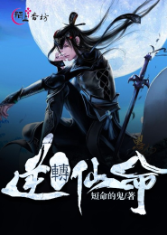 十八罗汉柳叶刀