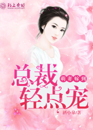总裁追爱错恋不忠女人