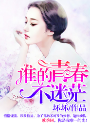 神奇宝贝之精灵世界