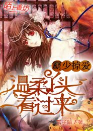入府为妾宠妃晋升记