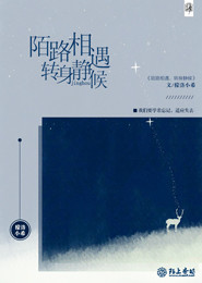 雪中悍刀行电视剧进展