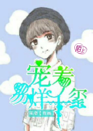 无敌神医叶小宝