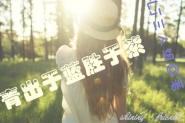 穿越网王之伴身莲
