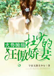 穿越大唐狼甲兵