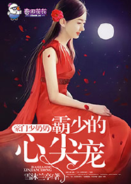 有什么破解版的小说软件