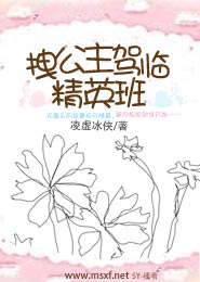 暮光之城破晓小说