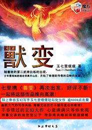神瞳鉴宝师
