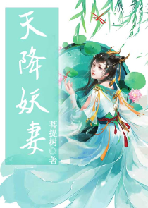 龙傲武神小说