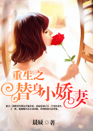 千面天使番外灿若夏花