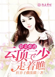 大明星闪婚