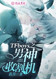 神奇宝贝之大师之梦1