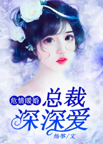 女主电脑言情