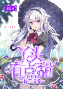 创造与魔法鲨鱼兑换码