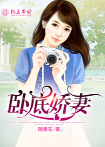 位面刺客联盟小说