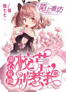 小说女主苏
