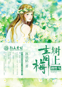 宠物小精灵之我是馆主