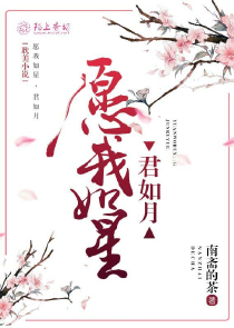 雨后的风铃草