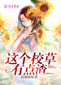最佳搭档图片