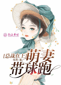 权少追妻盛婚秘爱