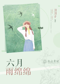 风之影pdf中文