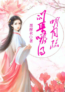 大唐女巡按小说