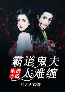 特种狼王在都市