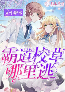 喜灰：杀手之巅1创世轮回